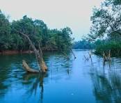 Kuruva Island